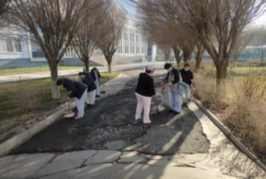 <b>全市深切开展爱国卫糊口动</b>